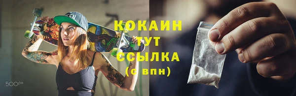 мет Новозыбков