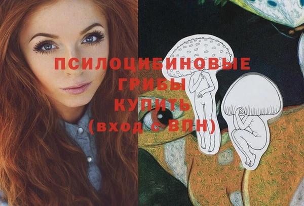ПСИЛОЦИБИНОВЫЕ ГРИБЫ Новодвинск