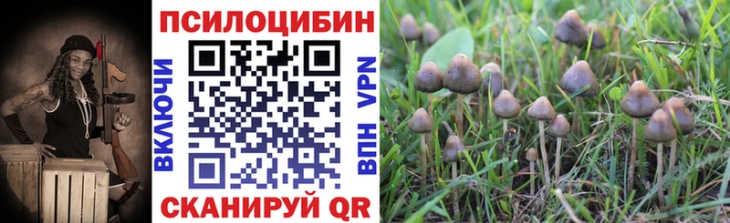 Псилоцибиновые грибы мицелий  Щигры 